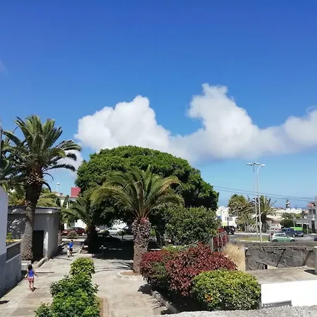 Buenavistera *