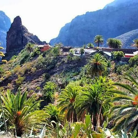 Buenavistera *